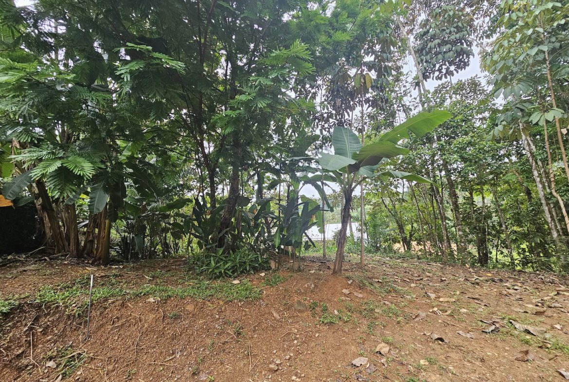 NEW 0.31 ACRES LOT IN UVITA !