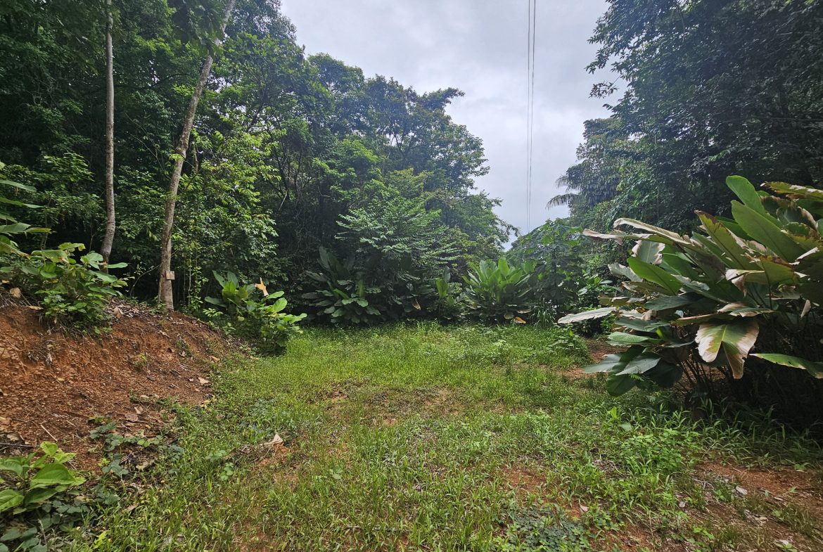 BEAUTIFUL LOT IN UVITA