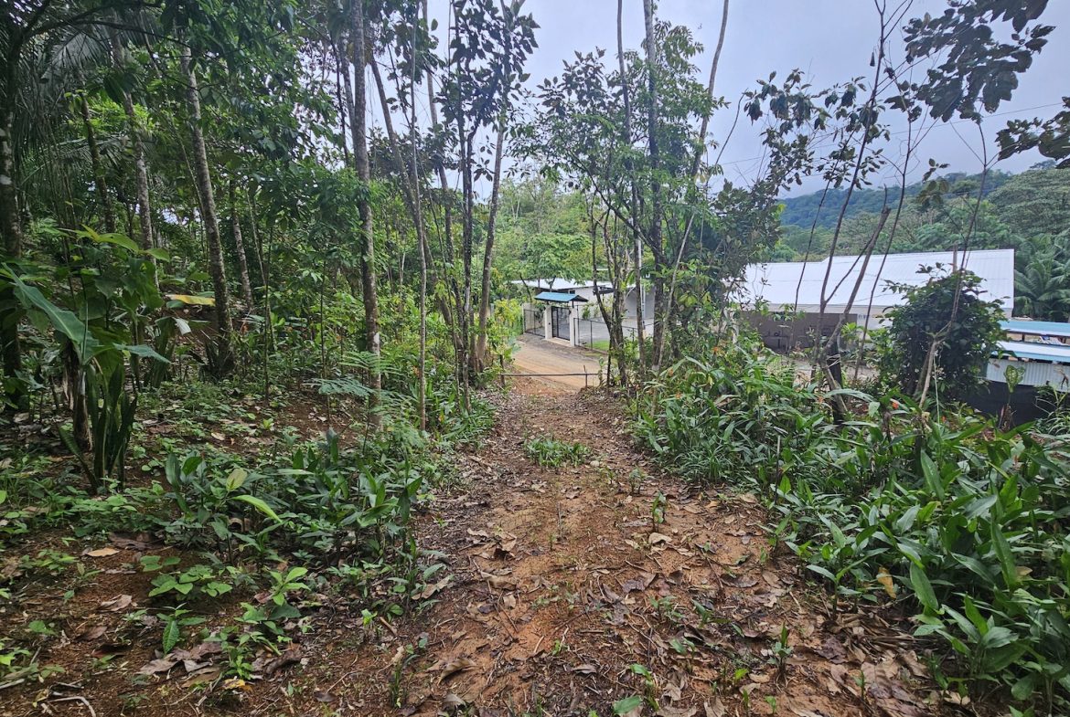 NEW 0.31 ACRES LOT IN UVITA !