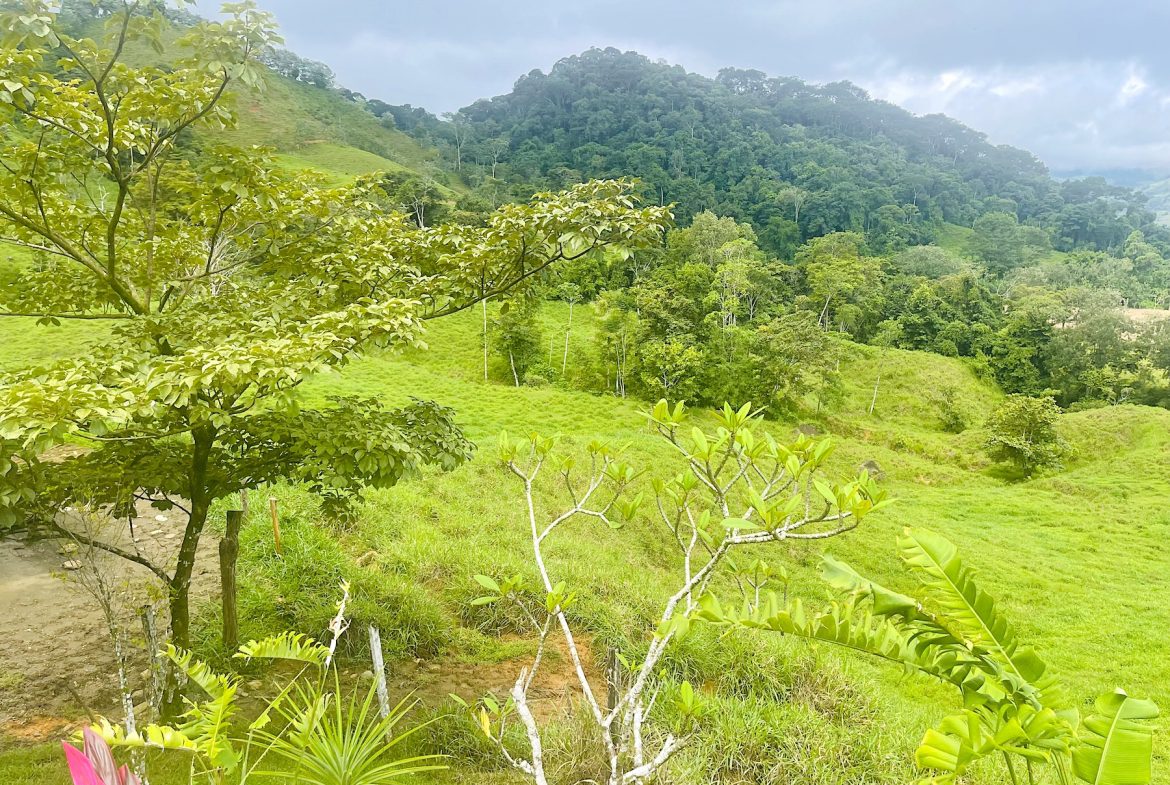 FARM WITH HOME AND PANORAMIC MOUNTAIN VIEWS, Uvita, Costa Rica — photo 6