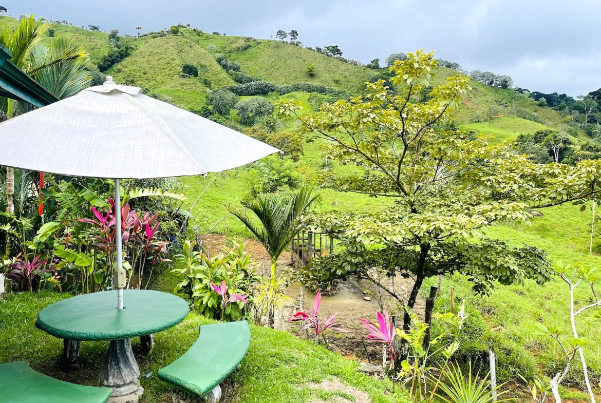 FARM WITH HOME AND PANORAMIC MOUNTAIN VIEWS, Uvita, Costa Rica — photo 7