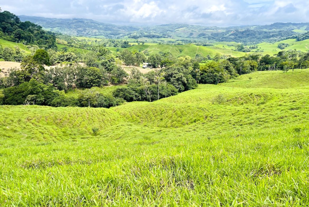PROPERTY OF NEARLY 15 ACRES WITH A HOUSE AND NATURAL SURROUNDINGS , IN PLATANILLO