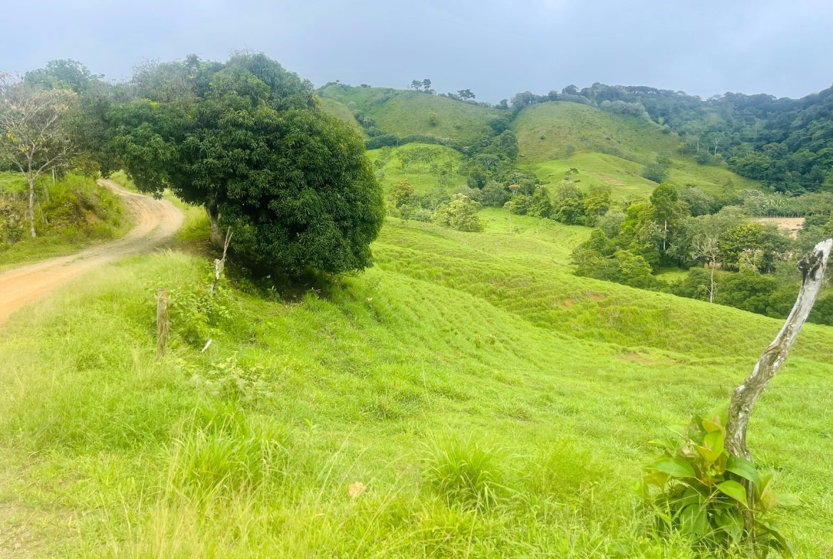 PROPERTY OF NEARLY 15 ACRES WITH A HOUSE AND NATURAL SURROUNDINGS , IN PLATANILLO