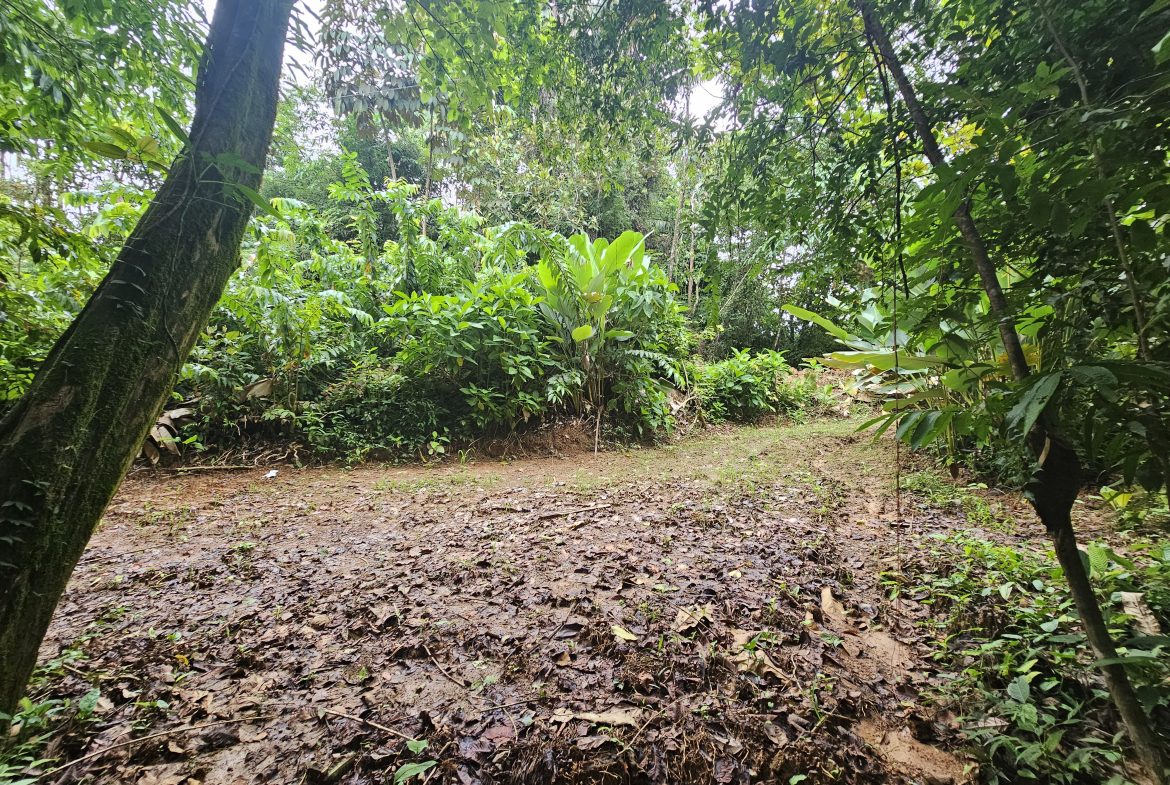 BEAUTIFUL LOT IN UVITA