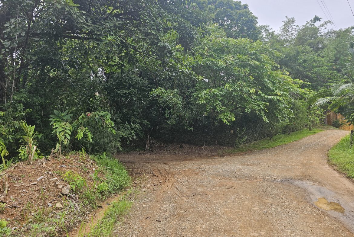 BEAUTIFUL LOT IN UVITA