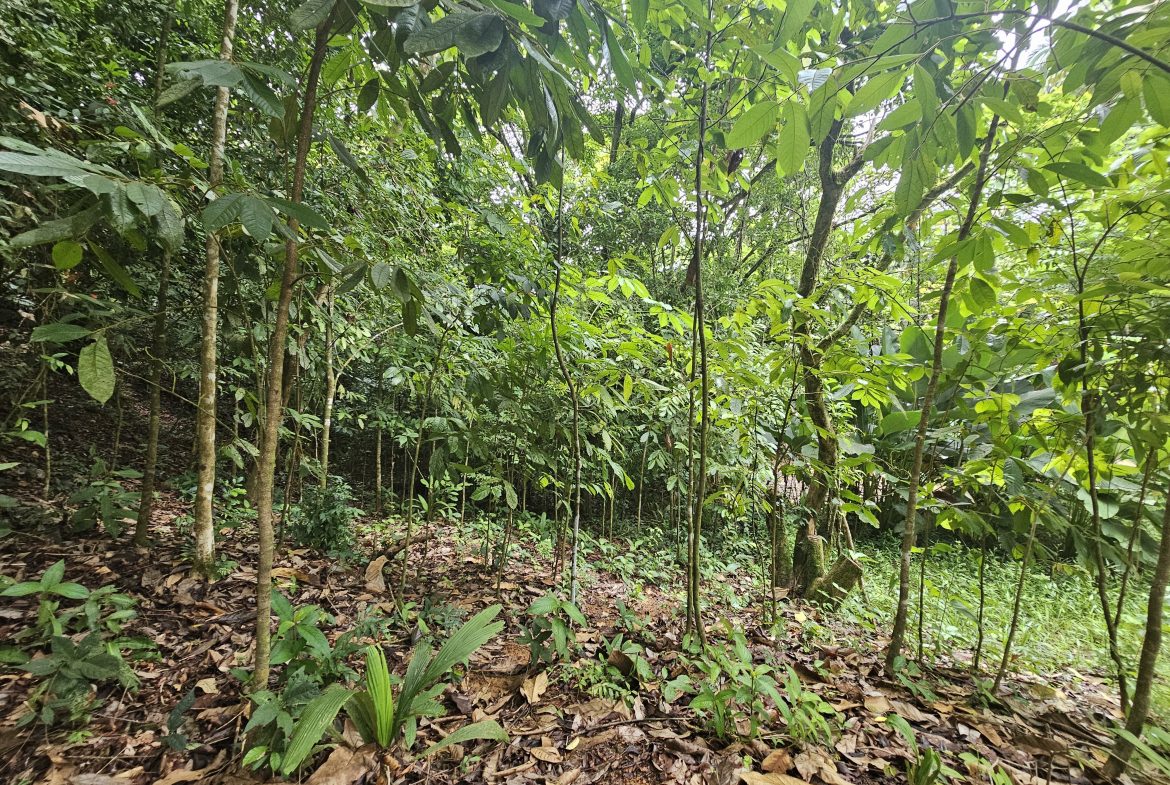 BEAUTIFUL LOT IN UVITA