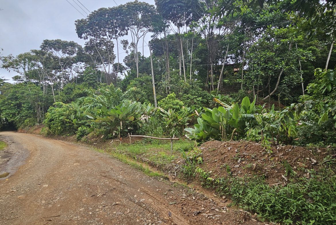 BEAUTIFUL LOT IN UVITA