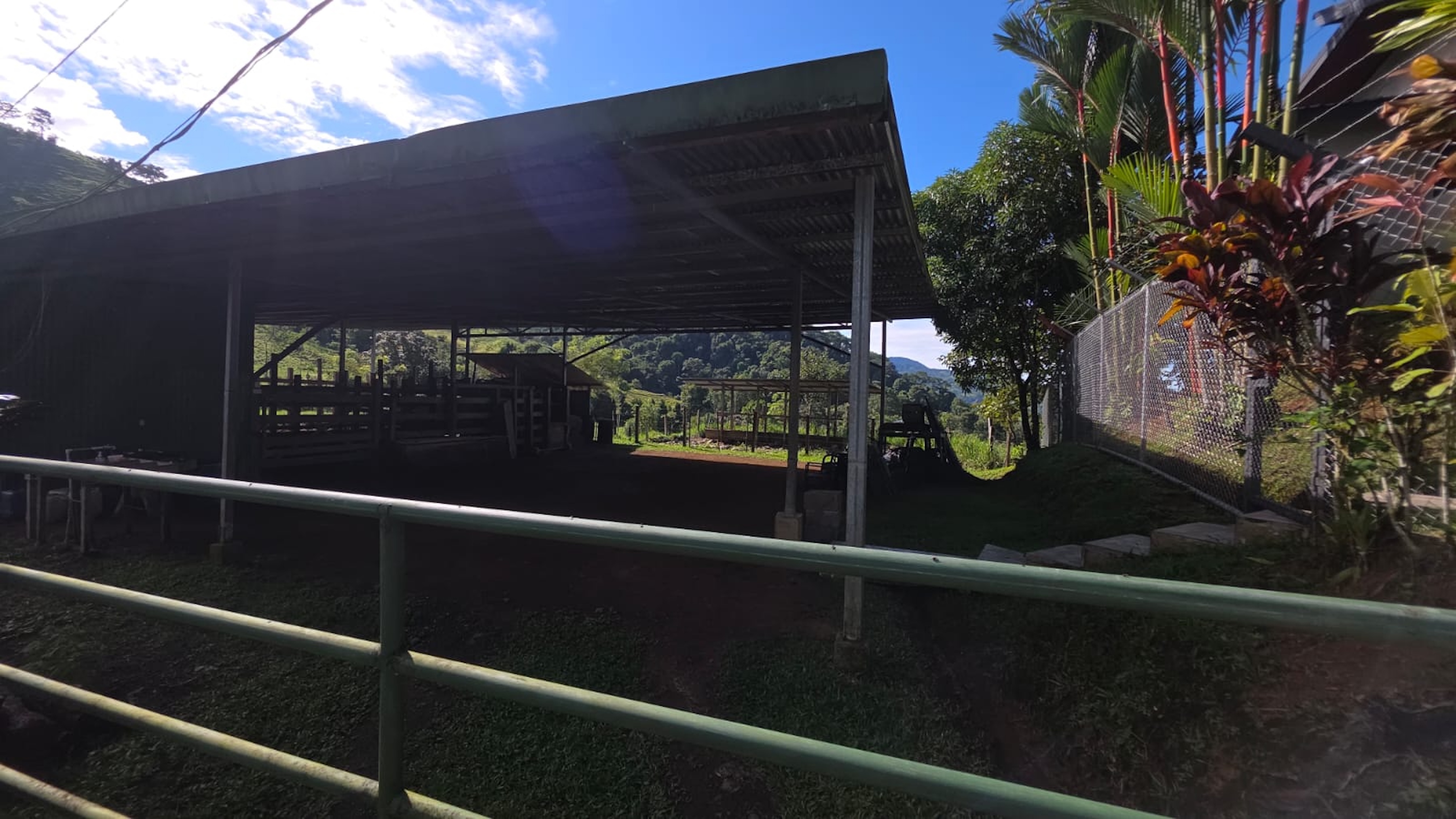 PROPERTY OF NEARLY 15 ACRES WITH A HOUSE AND NATURAL SURROUNDINGS , IN PLATANILLO
