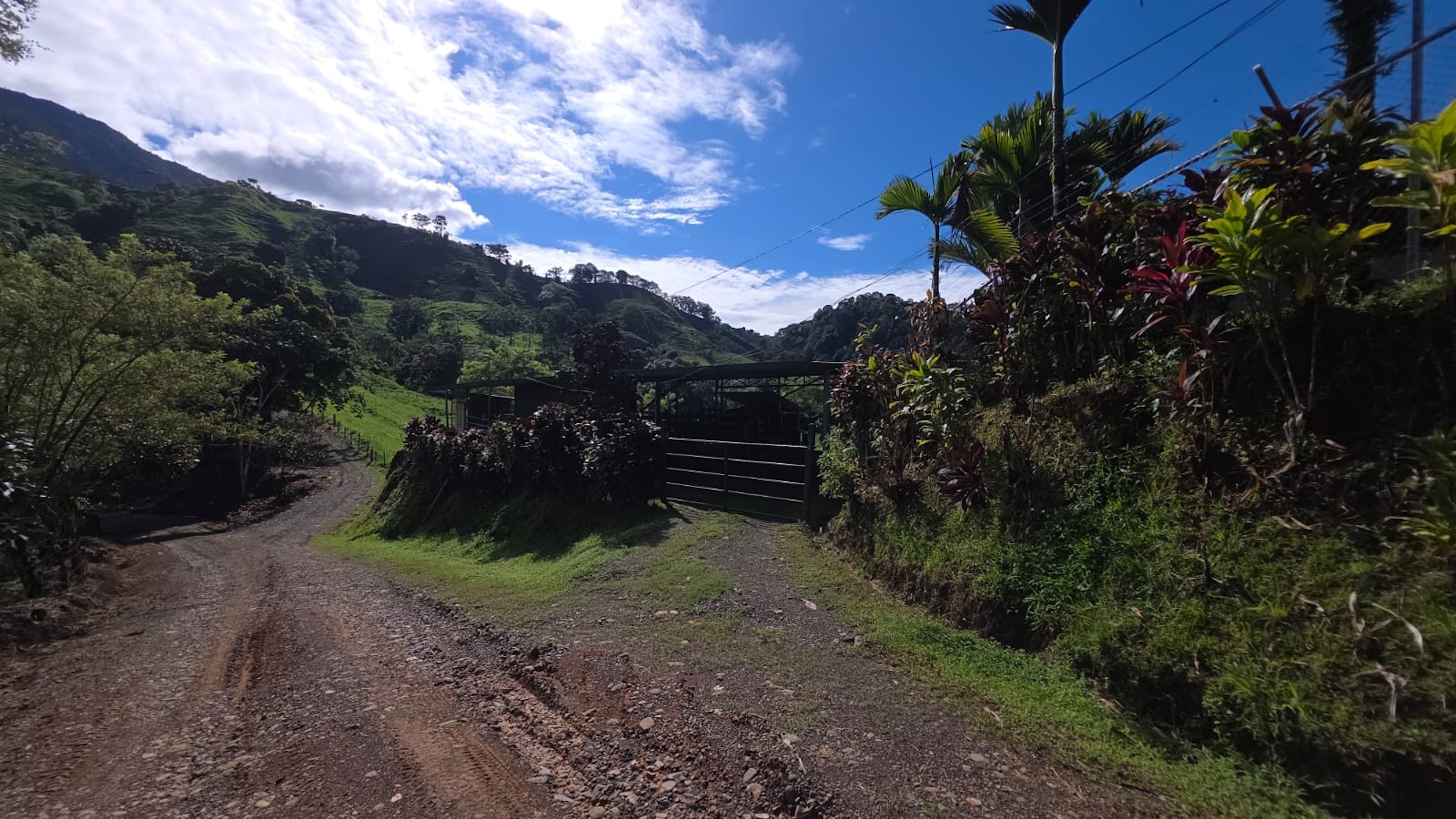 PROPERTY OF NEARLY 15 ACRES WITH A HOUSE AND NATURAL SURROUNDINGS , IN PLATANILLO