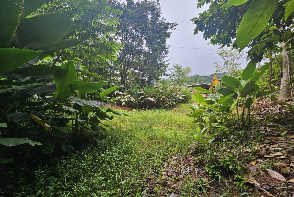 BEAUTIFUL LOT IN UVITA