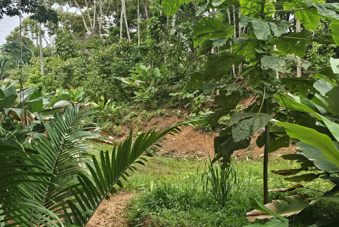 BEAUTIFUL LOT IN UVITA
