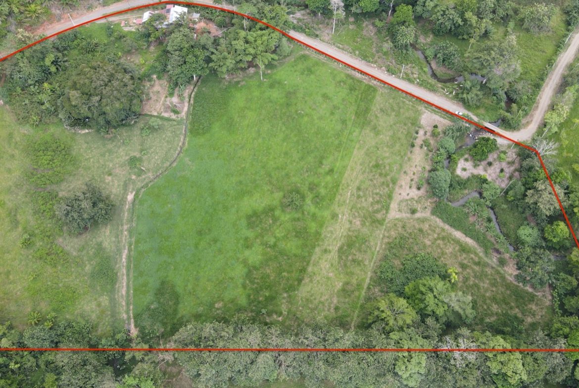 EXCEPTIONAL OPPORTUNITY FOR AGRICULTURAL AND RESIDENTIAL INVESTMENT IN SAN BUENAS WITH A PRIME 4.7 HECTARE FARM.