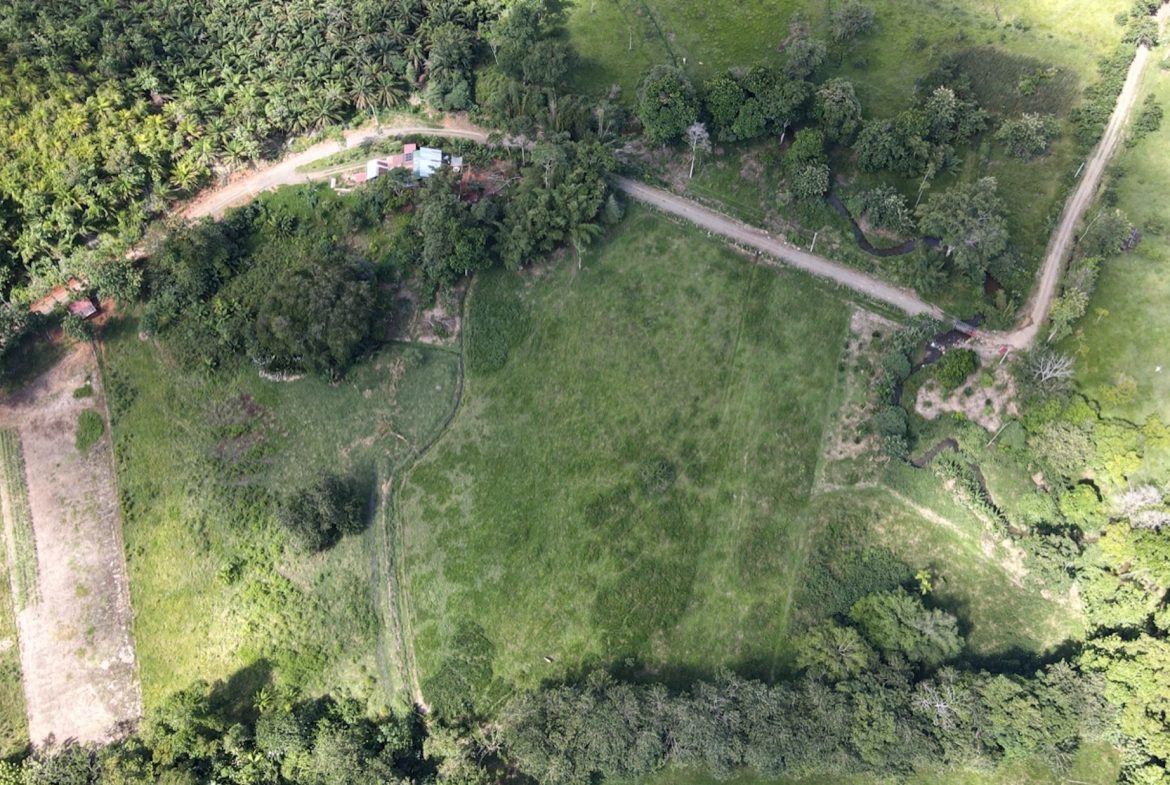 EXCEPTIONAL OPPORTUNITY FOR AGRICULTURAL AND RESIDENTIAL INVESTMENT IN SAN BUENAS WITH A PRIME 4.7 HECTARE FARM.