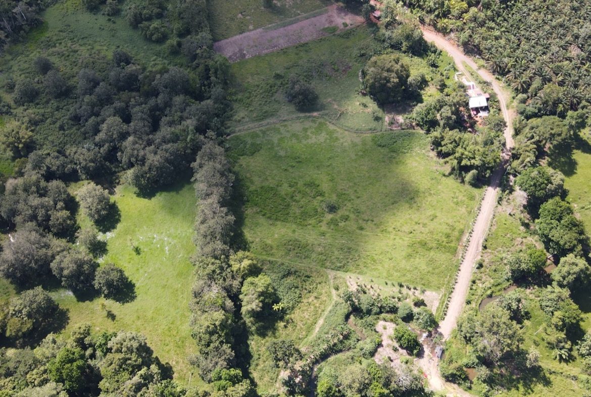 EXCEPTIONAL OPPORTUNITY FOR AGRICULTURAL AND RESIDENTIAL INVESTMENT IN SAN BUENAS WITH A PRIME 4.7 HECTARE FARM.