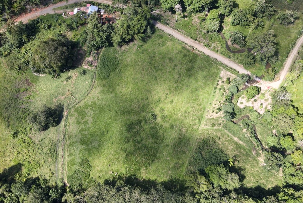 EXCEPTIONAL OPPORTUNITY FOR AGRICULTURAL AND RESIDENTIAL INVESTMENT IN SAN BUENAS WITH A PRIME 4.7 HECTARE FARM.