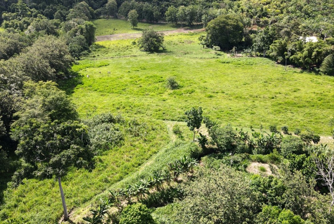 EXCEPTIONAL OPPORTUNITY FOR AGRICULTURAL AND RESIDENTIAL INVESTMENT IN SAN BUENAS WITH A PRIME 4.7 HECTARE FARM.