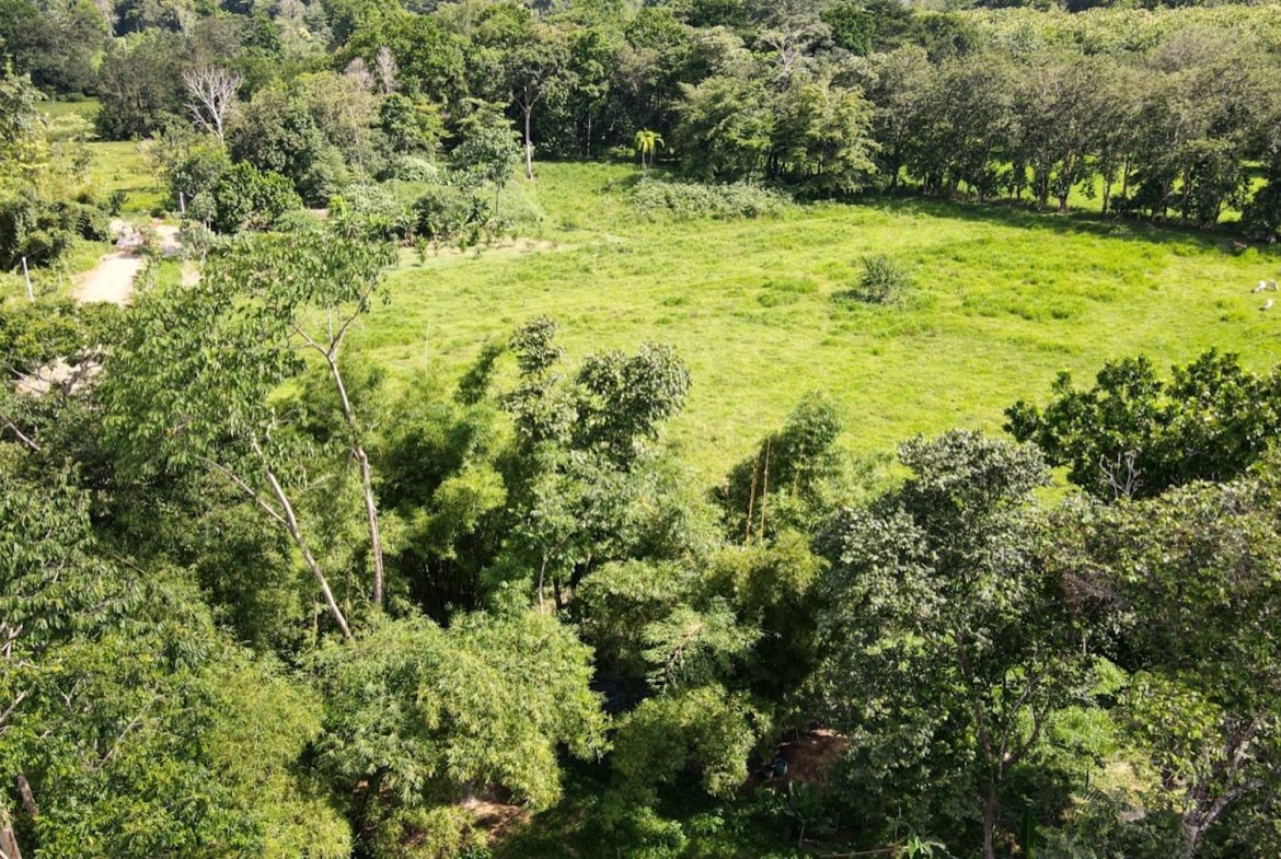EXCEPTIONAL OPPORTUNITY FOR AGRICULTURAL AND RESIDENTIAL INVESTMENT IN SAN BUENAS WITH A PRIME 4.7 HECTARE FARM.