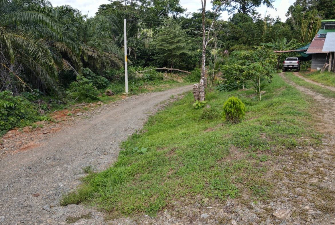 EXCEPTIONAL OPPORTUNITY FOR AGRICULTURAL AND RESIDENTIAL INVESTMENT IN SAN BUENAS WITH A PRIME 4.7 HECTARE FARM.