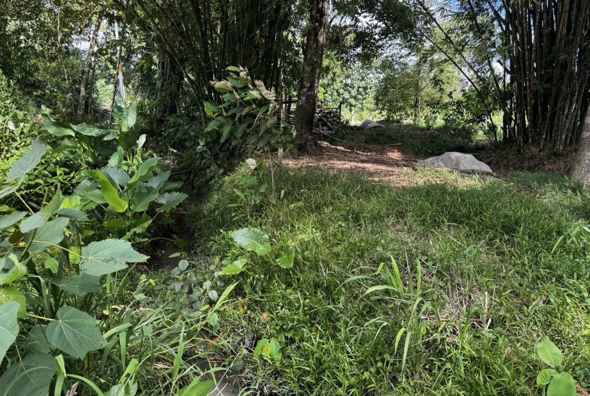EXCEPTIONAL OPPORTUNITY FOR AGRICULTURAL AND RESIDENTIAL INVESTMENT IN SAN BUENAS WITH A PRIME 4.7 HECTARE FARM.
