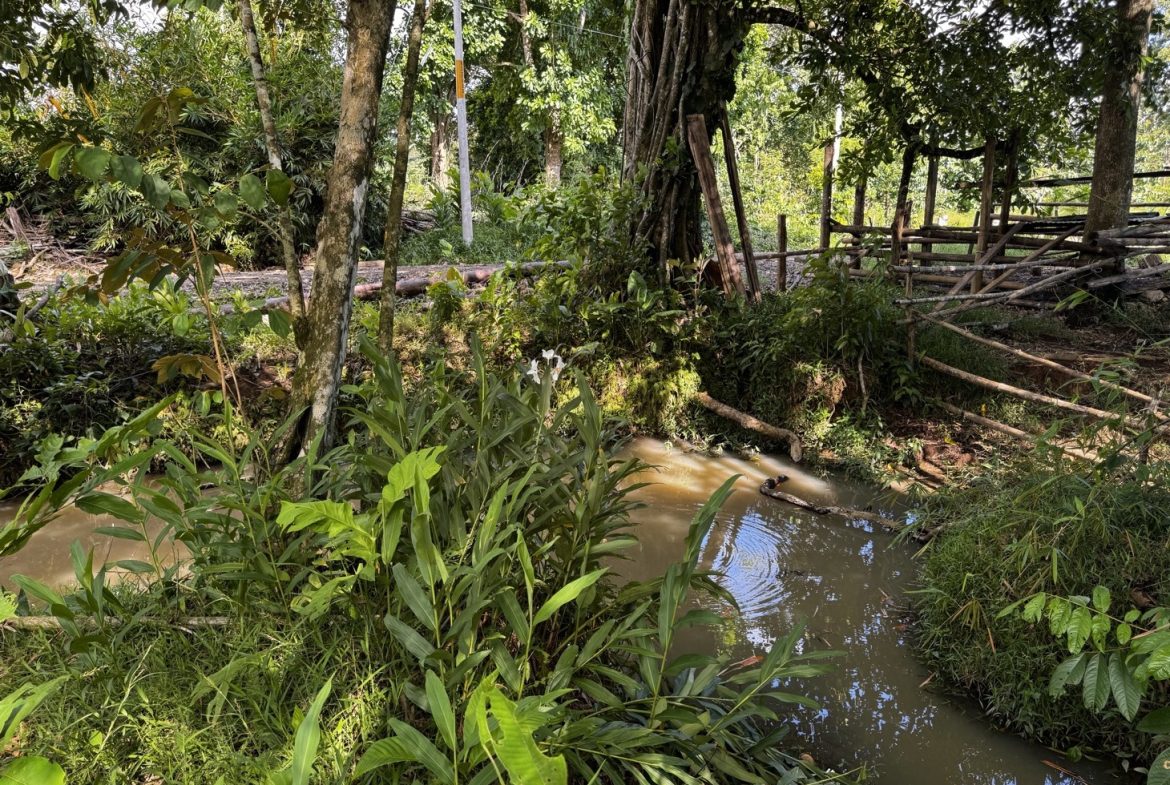 EXCEPTIONAL OPPORTUNITY FOR AGRICULTURAL AND RESIDENTIAL INVESTMENT IN SAN BUENAS WITH A PRIME 4.7 HECTARE FARM.