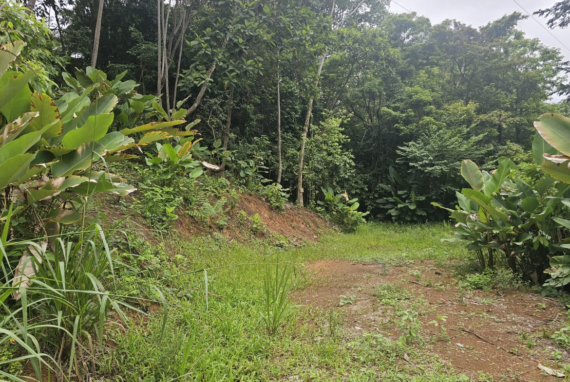 BEAUTIFUL LOT IN UVITA