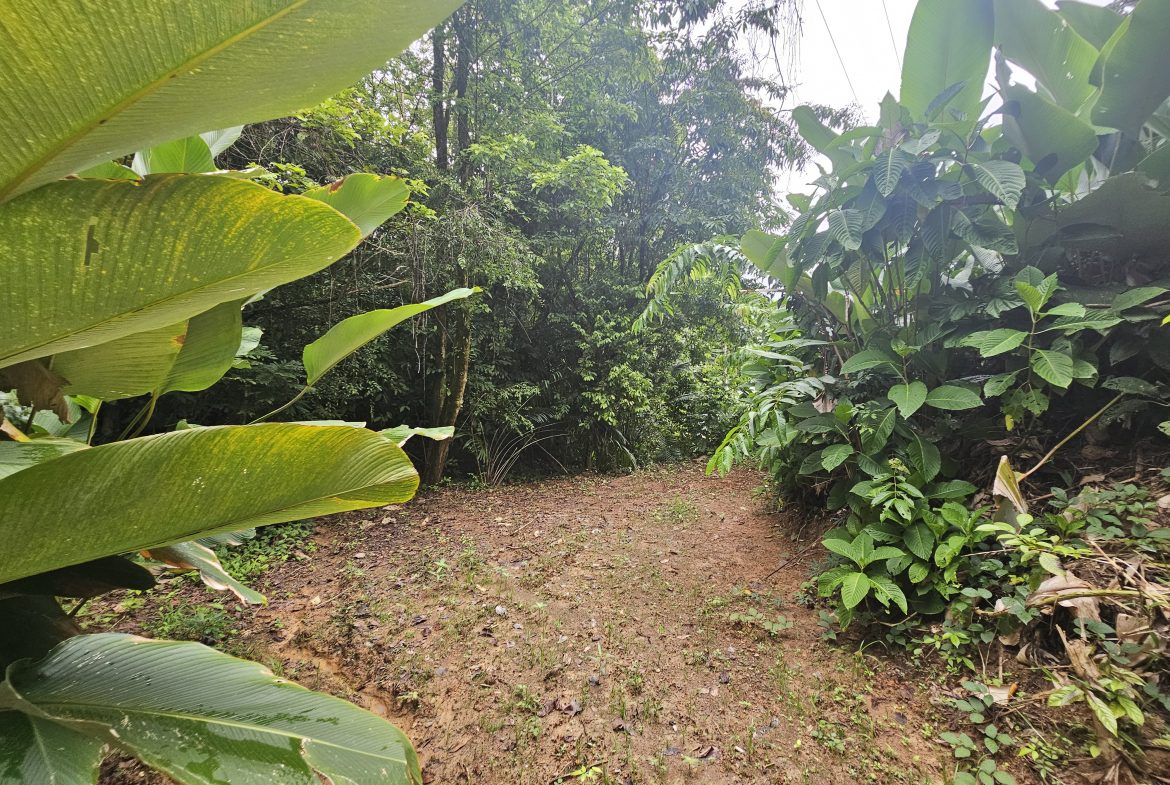 BEAUTIFUL LOT IN UVITA