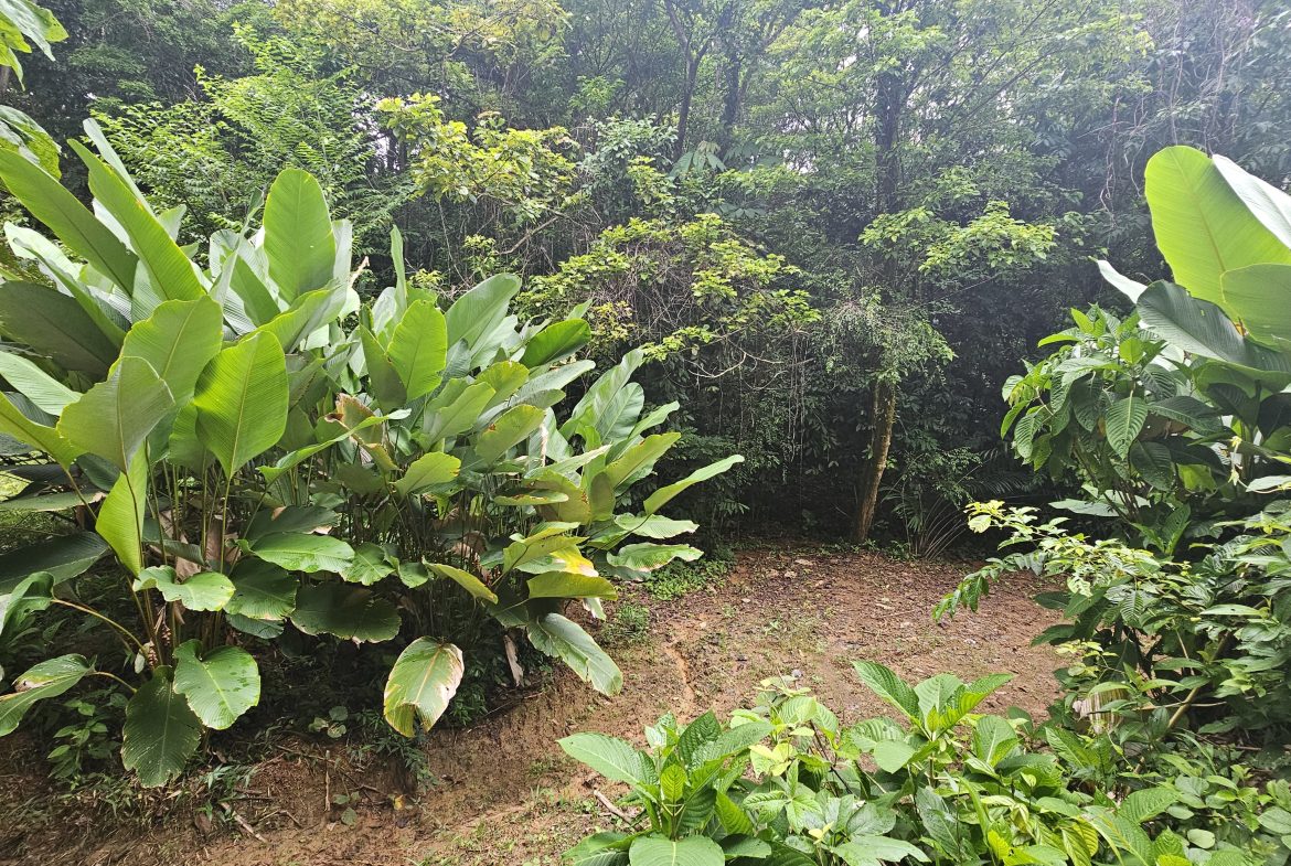 BEAUTIFUL LOT IN UVITA