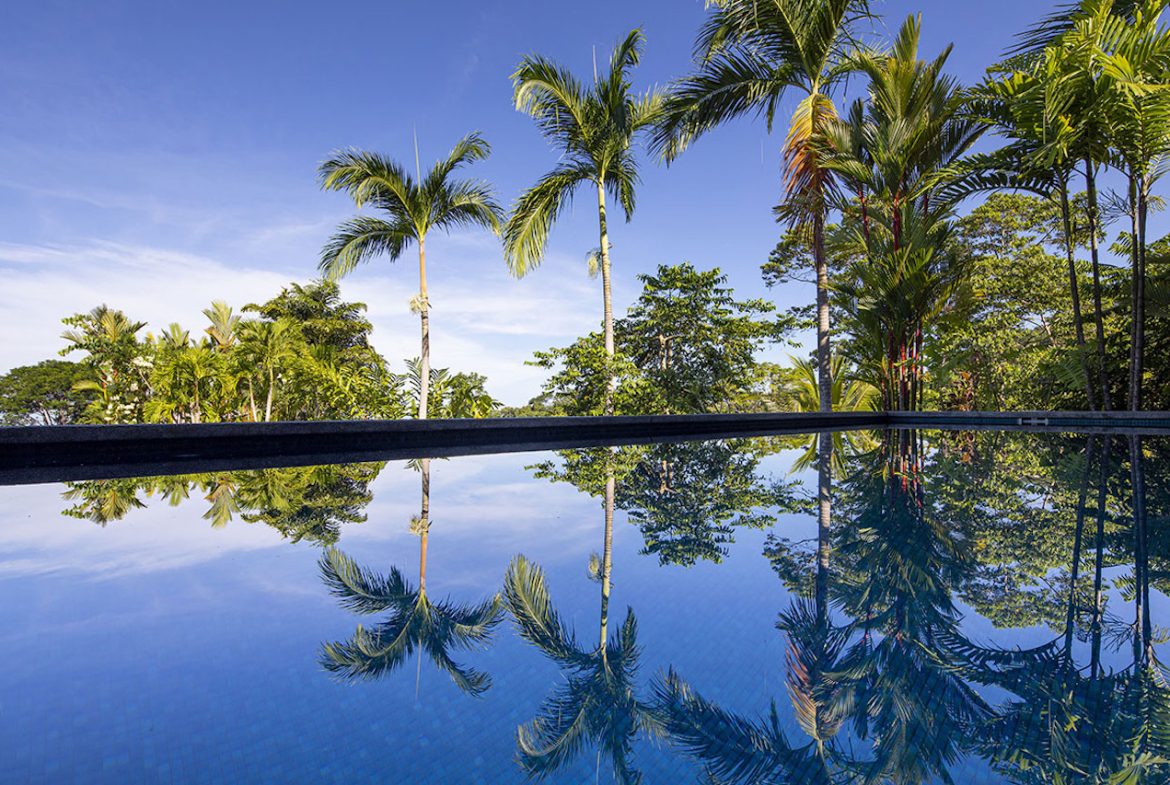 LUXURY OCEAN VIEW PROPERTY WITH HOUSE AND GUEST HOUSE – 19.78 ACRES, Uvita, Costa Rica — photo 6