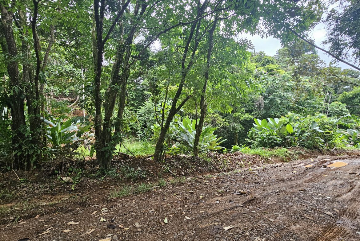 BEAUTIFUL LOT IN UVITA