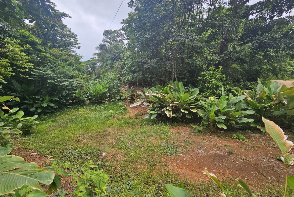 BEAUTIFUL LOT IN UVITA