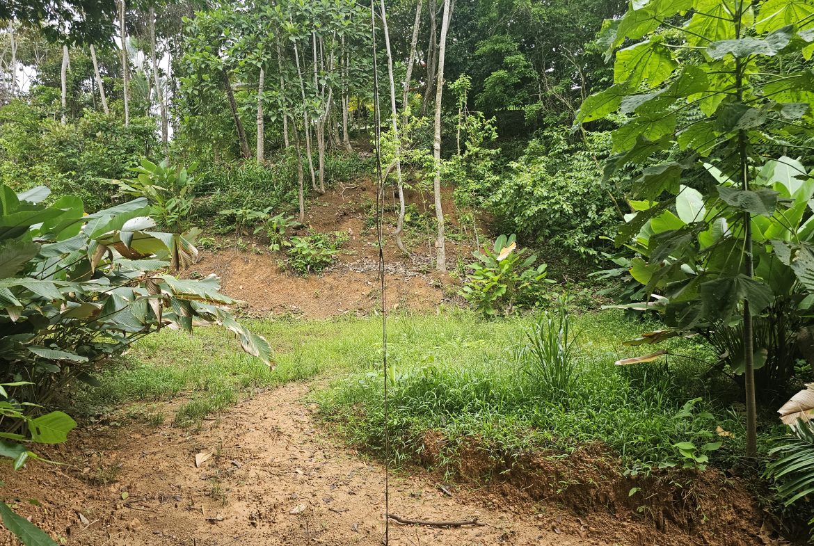 BEAUTIFUL LOT IN UVITA