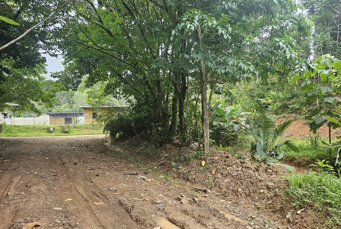 BEAUTIFUL LOT IN UVITA