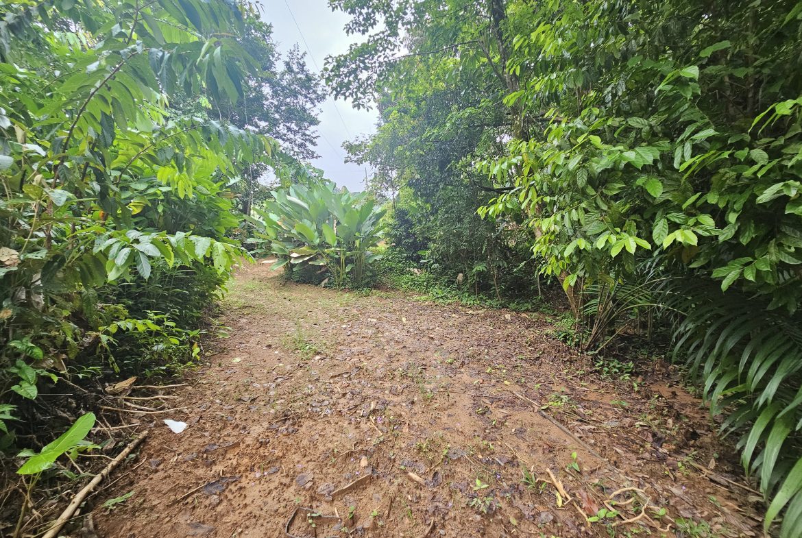 BEAUTIFUL LOT IN UVITA