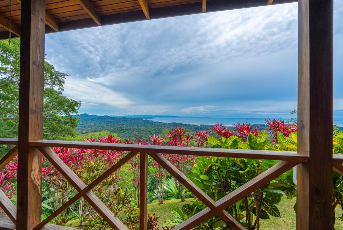 OCEAN VIEW HOME WITH TREE HOUSE VIBES