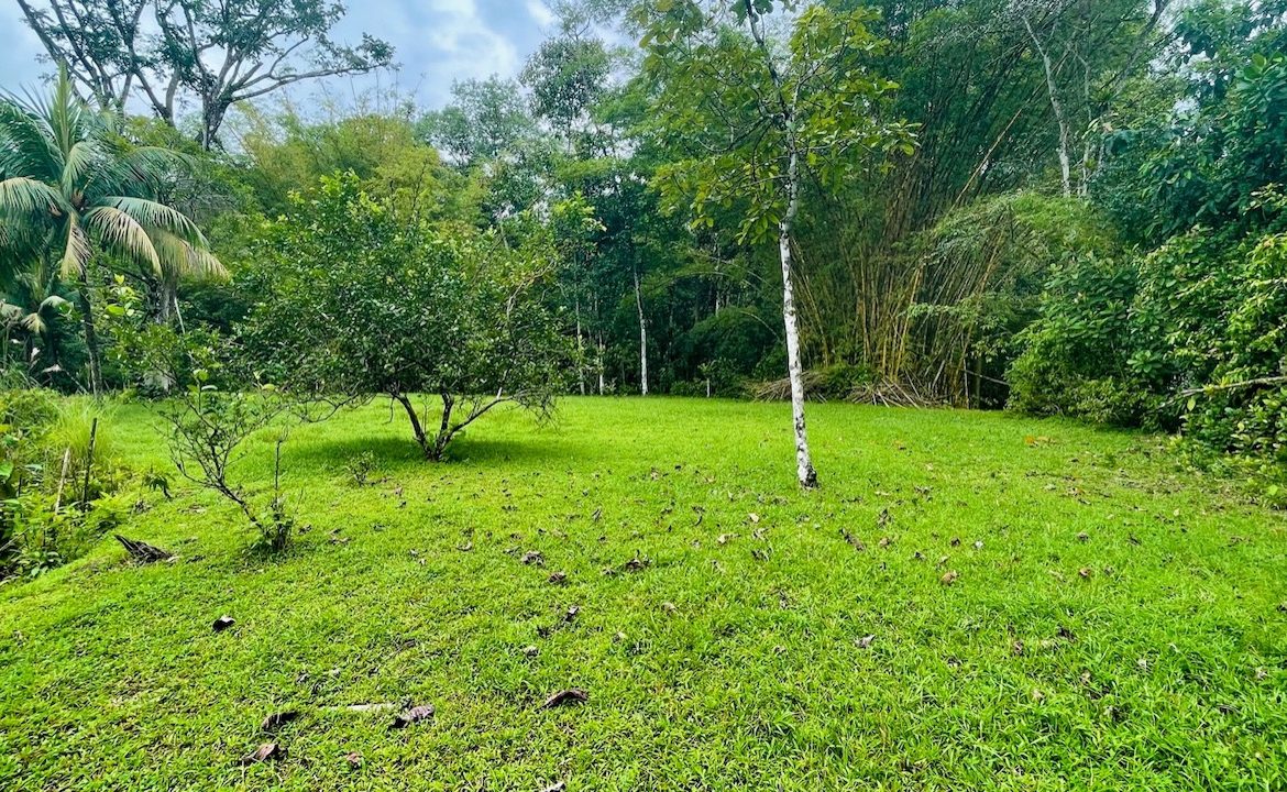 HOUSE AND GUEST HOUSE IN CENTRAL OJOCHAL – 1.35 ACRES