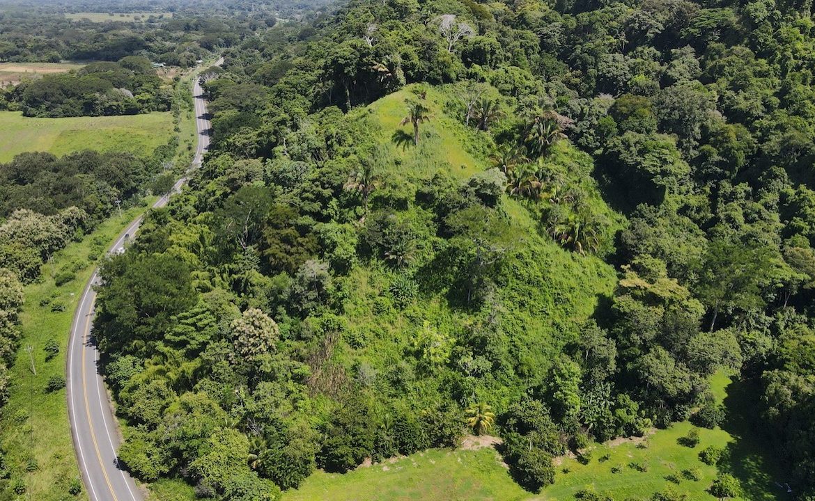 DIAMOND POINT – OCEAN VIEW PROPERTY NEAR DOMINICAL, Uvita, Costa Rica — photo 4