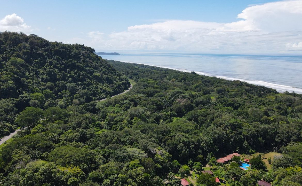 DIAMOND POINT – OCEAN VIEW PROPERTY NEAR DOMINICAL, Uvita, Costa Rica — photo 5