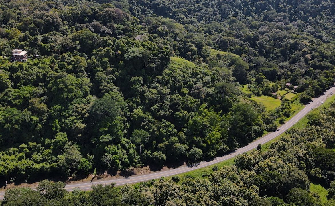 DIAMOND POINT – OCEAN VIEW PROPERTY NEAR DOMINICAL, Uvita, Costa Rica — photo 6
