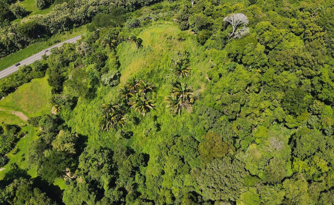 DIAMOND POINT – OCEAN VIEW PROPERTY NEAR DOMINICAL