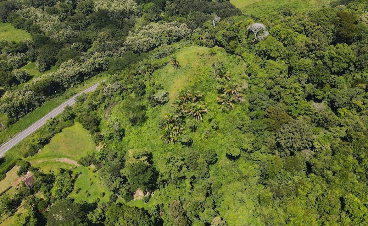 DIAMOND POINT – OCEAN VIEW PROPERTY NEAR DOMINICAL