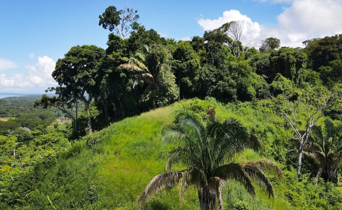 DIAMOND POINT – OCEAN VIEW PROPERTY NEAR DOMINICAL, Uvita, Costa Rica — photo 3