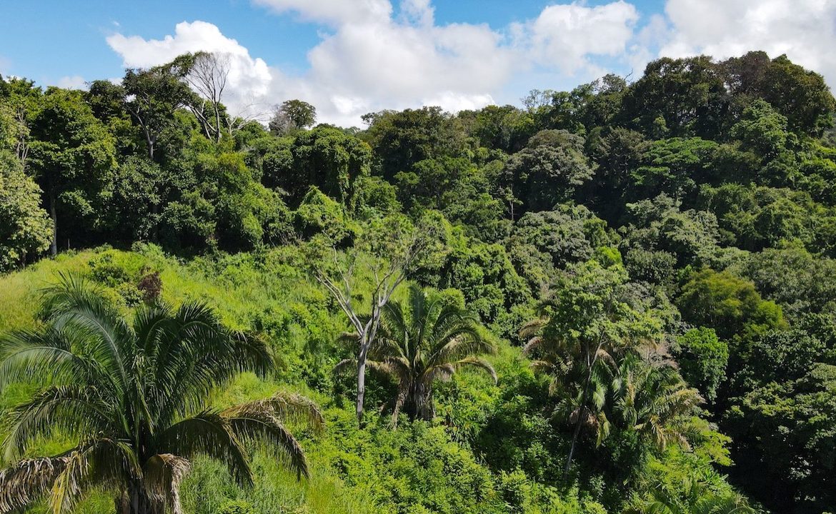 DIAMOND POINT – OCEAN VIEW PROPERTY NEAR DOMINICAL