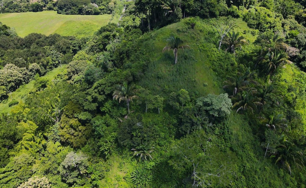 DIAMOND POINT – OCEAN VIEW PROPERTY NEAR DOMINICAL, Uvita, Costa Rica — photo 8