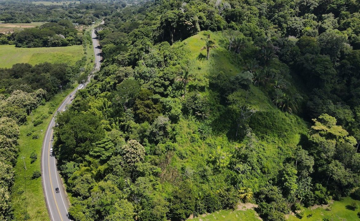 DIAMOND POINT – OCEAN VIEW PROPERTY NEAR DOMINICAL