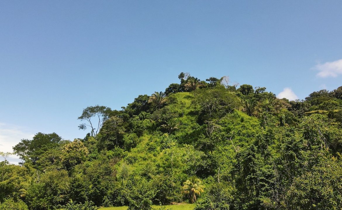 DIAMOND POINT – OCEAN VIEW PROPERTY NEAR DOMINICAL