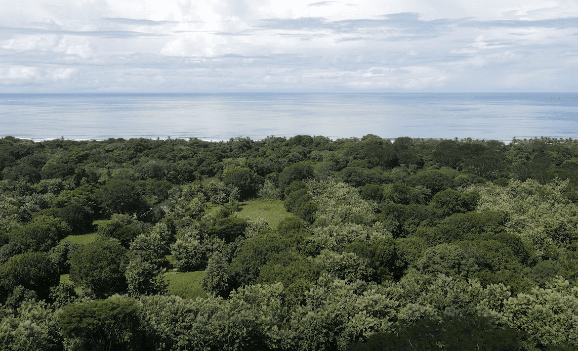 DIAMOND POINT – OCEAN VIEW PROPERTY NEAR DOMINICAL