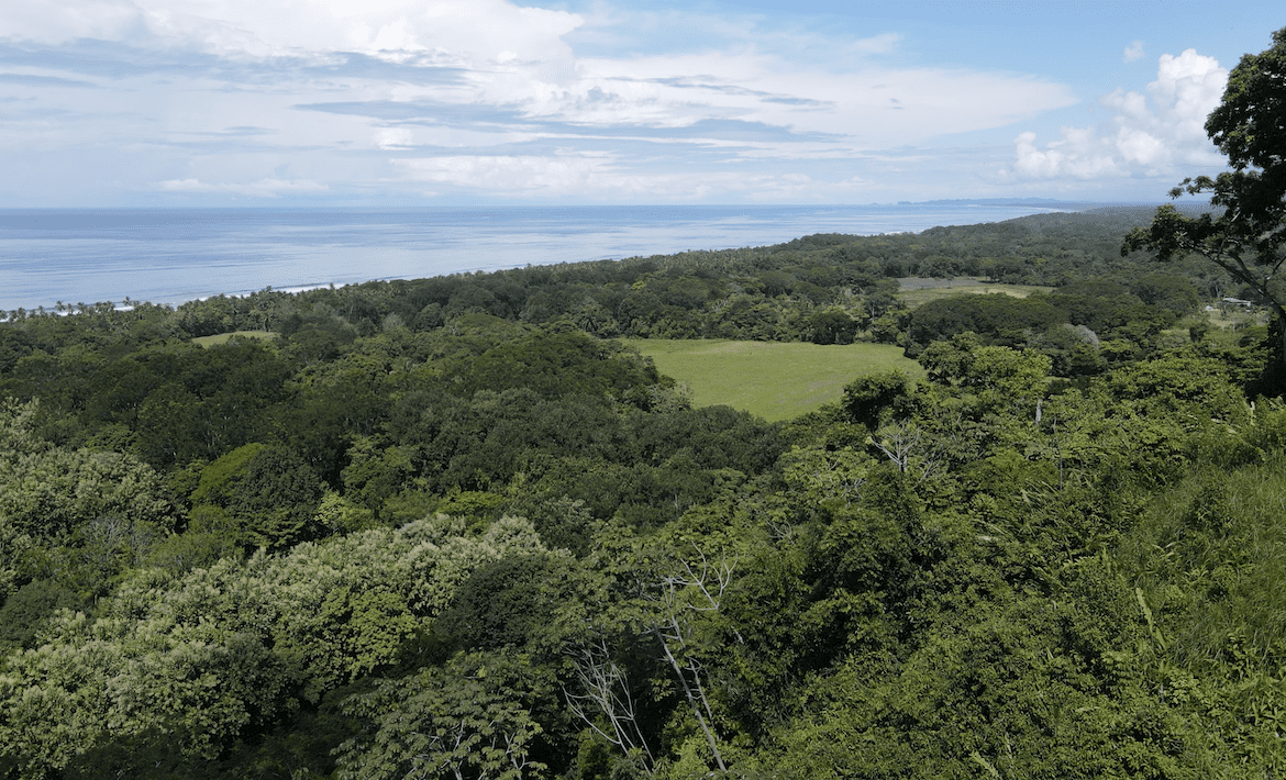 DIAMOND POINT – OCEAN VIEW PROPERTY NEAR DOMINICAL