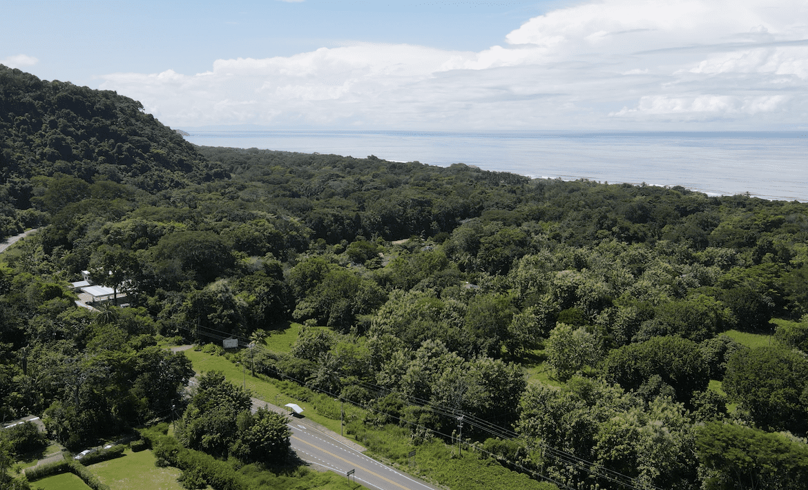 DIAMOND POINT – OCEAN VIEW PROPERTY NEAR DOMINICAL