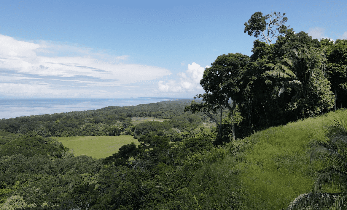 DIAMOND POINT – OCEAN VIEW PROPERTY NEAR DOMINICAL
