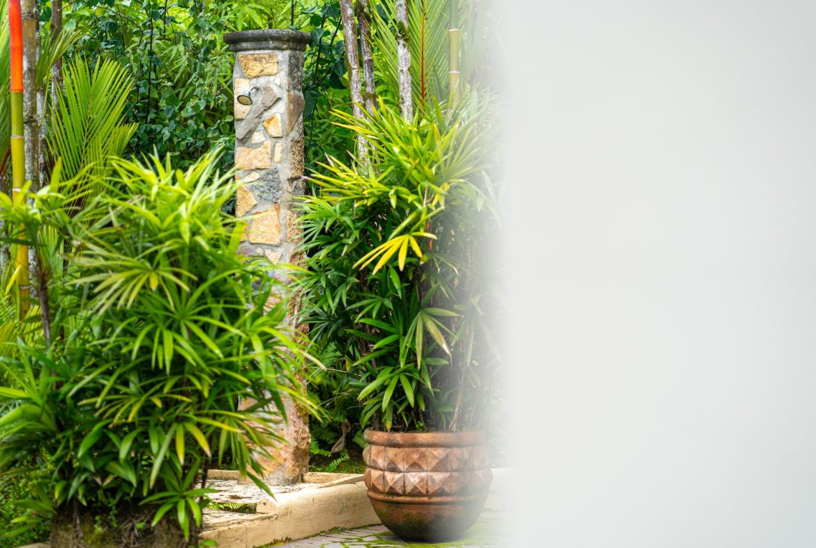 VERY PRIVATE OCEAN AND JUNGLE VIEW HOME IN OJOCHAL